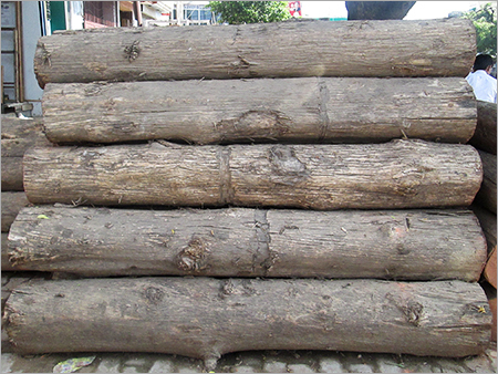 Teak Wood logs