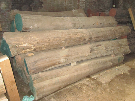 Industrial Teak Woods Logs
