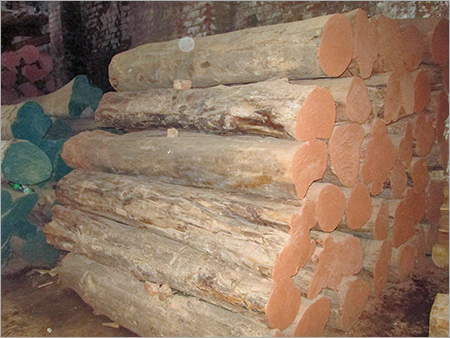 Teak Wood Timber