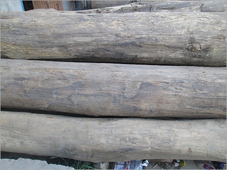 Burma Teak Woods