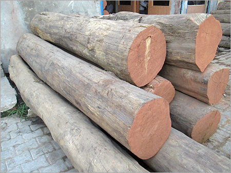 Burma Teak Logs