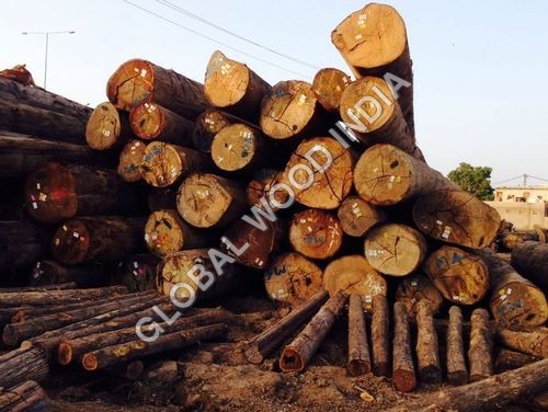 Kapur Logs Timber