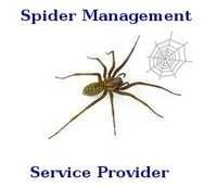 Spider Management Services
