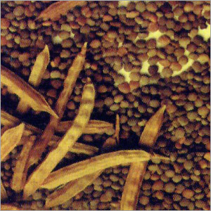 Beverages Guar Gum