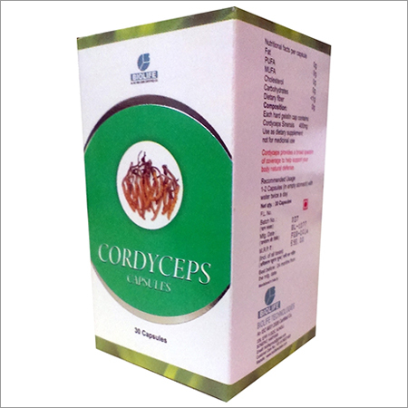 Cordyceps Capsules
