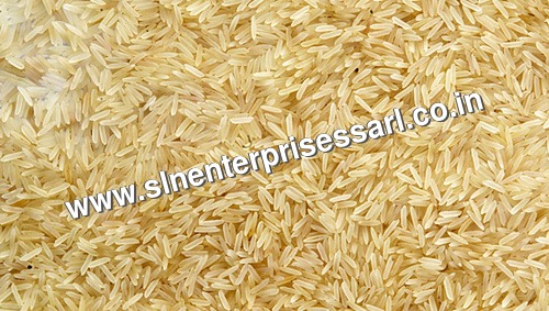 Golden Shella Rice