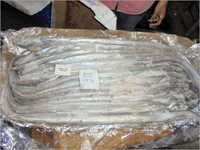 Frozen Ribbon Fish Exporter