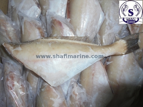Leather Jacket Fish - Get Best Price from Manufacturers & Suppliers in India