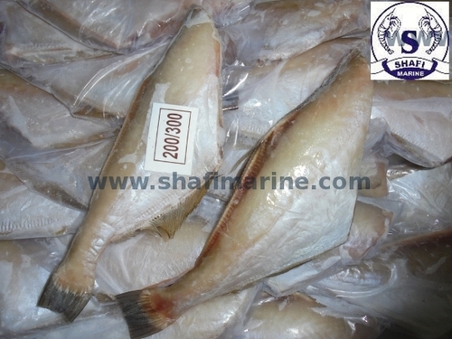 Frozen Leather Fish