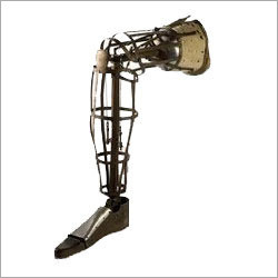 Knee Limb