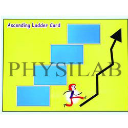 Ascending Card Game By H. L. SCIENTIFIC INDUSTRIES