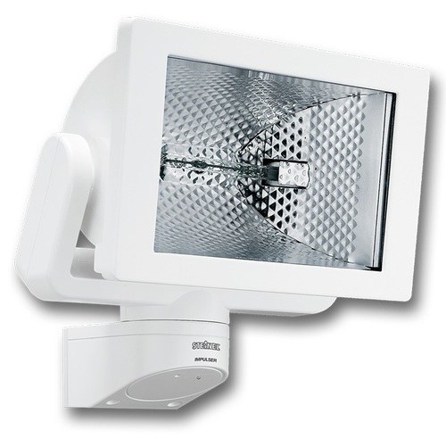 Halogen Flood Light
