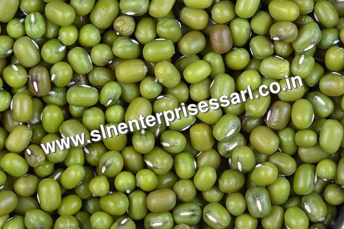 Green Mung Beans