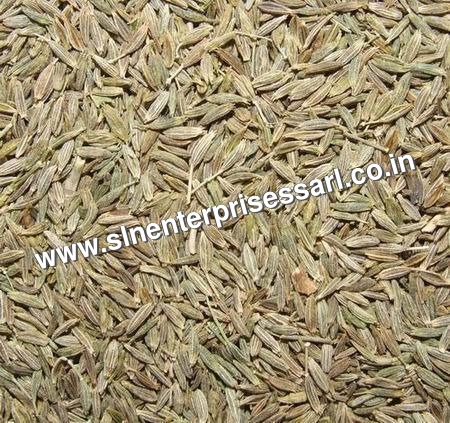 Cumin Seeds (Jeera)