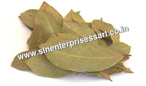 Bay Leaves