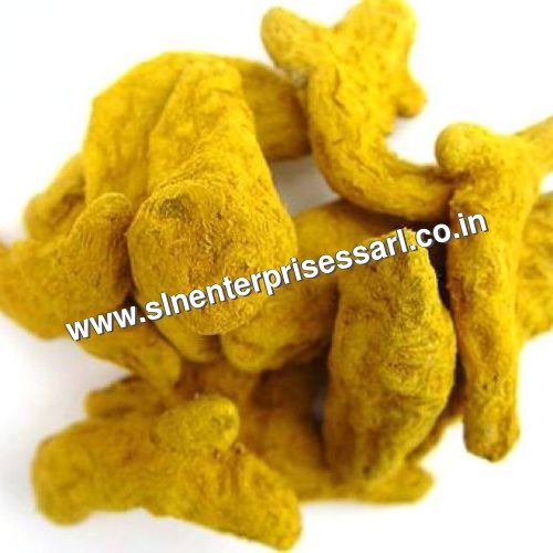 Turmeric Fingers
