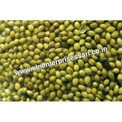 Coriander Seeds (Dhania)