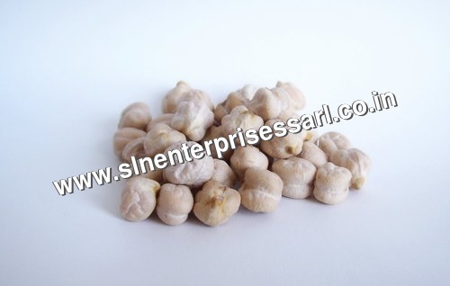 White Chickpeas