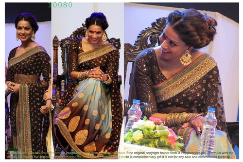 10080 Sarees - Georgette & Net Fabric, Embroidered Design, Brown Color | 3/4 Sleeves, Dry Clean, Washable, Suitable for All Seasons