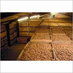 Potato Storage System