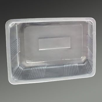 Plain Rectangular Container