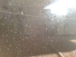 Black Pearl Granite