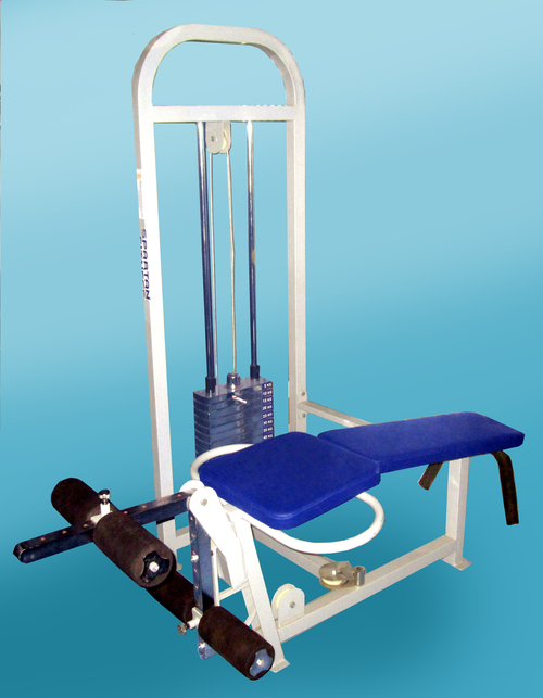 Leg extension leg curl