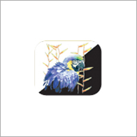 Super Opaque Transfers Stickers