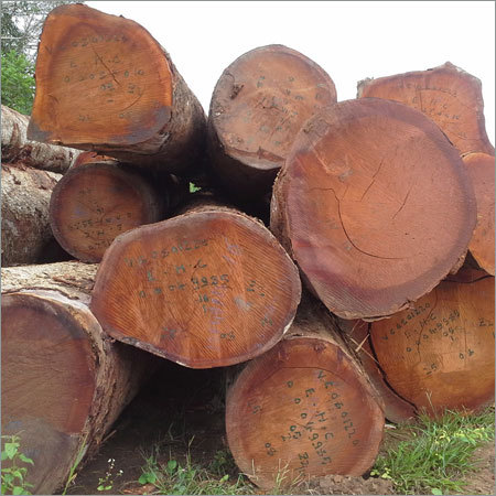 Industrial Timber Wood