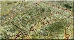 Rain Forest Marble
