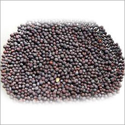 Mustard Seeds