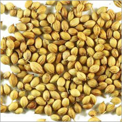 Coriander Seeds