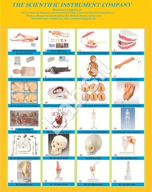 Biology Lab Models