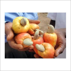 Raw Cashew with Fruit