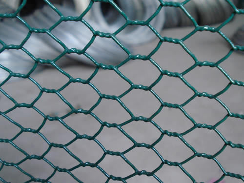 PVC Wire Mesh