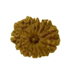 RUDRAKSHA 12 MUKHI