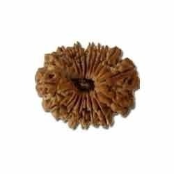 RUDRAKSHA 18 MUKHI