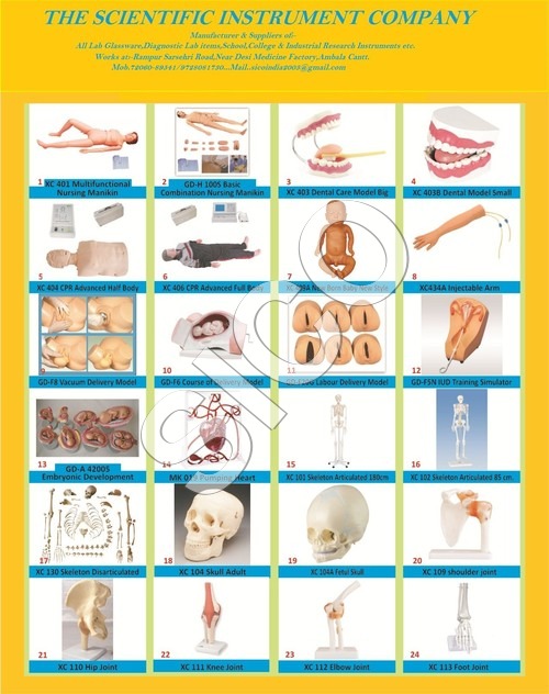 Nursing Training models