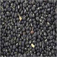 Black Gram