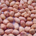 Raw Peanut Kernel