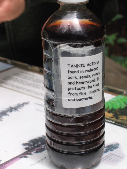 Tannic Acid Density: Low