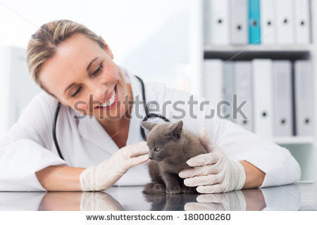 Veterinary Pcd Pharma in Bihar