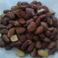 Pongamia Seed