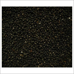 Urad Bean