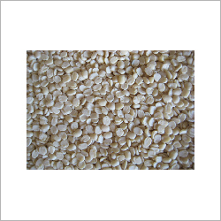 Urad Mogar