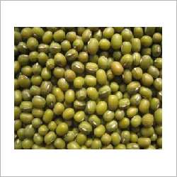 Moong Bean