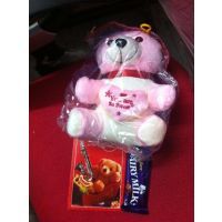 Teddy Bear Gift With Chocolate
