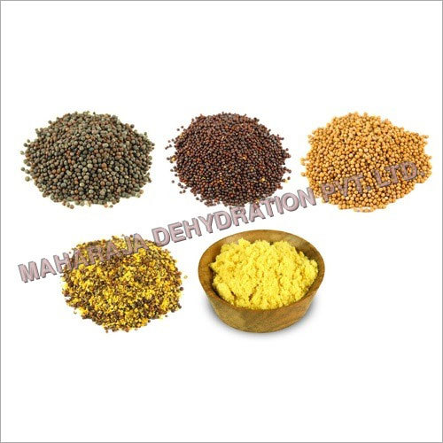Mustard Seeds and Powder By MAHARAJA DEHYDRATION PVT. LTD.