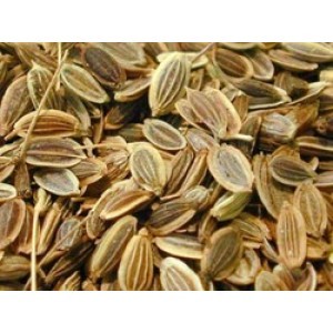 Dill Seed Oil Age Group: All Age Group