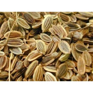 Dill Seed Oil